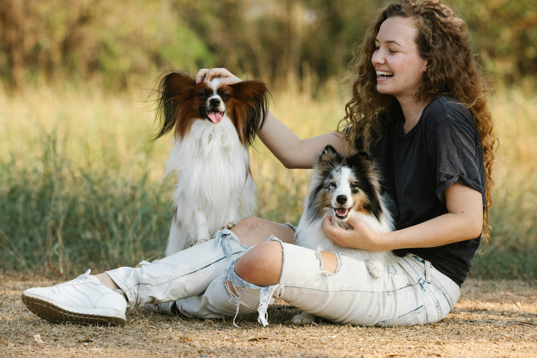 5 Simple Habits That Will Keep Your Pet Healthy and Happy All Year Long
